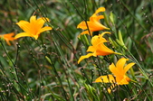 Enlarge photo 55