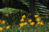 Enlarge photo 56