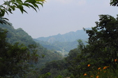 Enlarge photo 61