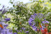 Enlarge photo 64