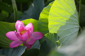Enlarge photo 16
