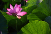 Enlarge photo 17