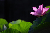 Enlarge photo 26