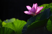Enlarge photo 27