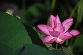 Enlarge photo 30