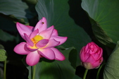 Enlarge photo 31