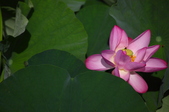 Enlarge photo 33