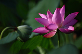 Enlarge photo 39