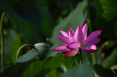 Enlarge photo 40