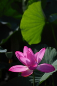Enlarge photo 43