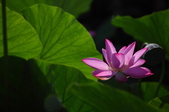 Enlarge photo 48