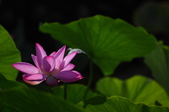 Enlarge photo 49