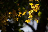 Enlarge photo 33