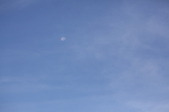 Enlarge photo 35