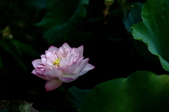 Enlarge photo 19