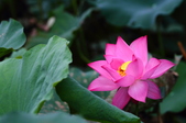 Enlarge photo 29