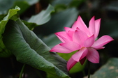 Enlarge photo 31