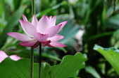 Enlarge photo 33