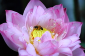 Enlarge photo 36
