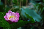 Enlarge photo 38