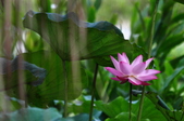Enlarge photo 39
