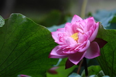 Enlarge photo 40