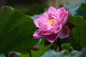 Enlarge photo 41