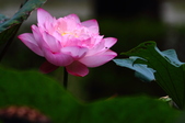 Enlarge photo 45