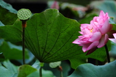 Enlarge photo 46