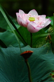 Enlarge photo 48