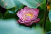 Enlarge photo 53