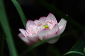 Enlarge photo 56