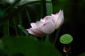 Enlarge photo 57