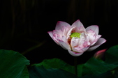 Enlarge photo 68