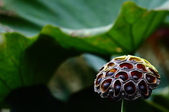 Enlarge photo 71