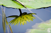 Enlarge photo 7