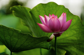 Enlarge photo 33
