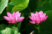 Enlarge photo 34