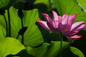 Enlarge photo 38