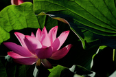 Enlarge photo 39