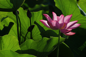 Enlarge photo 41