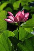 Enlarge photo 45