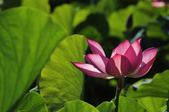 Enlarge photo 46