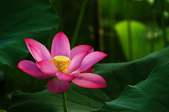 Enlarge photo 49