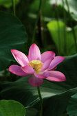 Enlarge photo 50