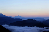 Enlarge photo 62