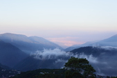 Enlarge photo 76