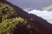 Enlarge photo 80
