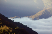 Enlarge photo 87
