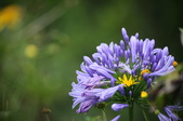Enlarge photo 17